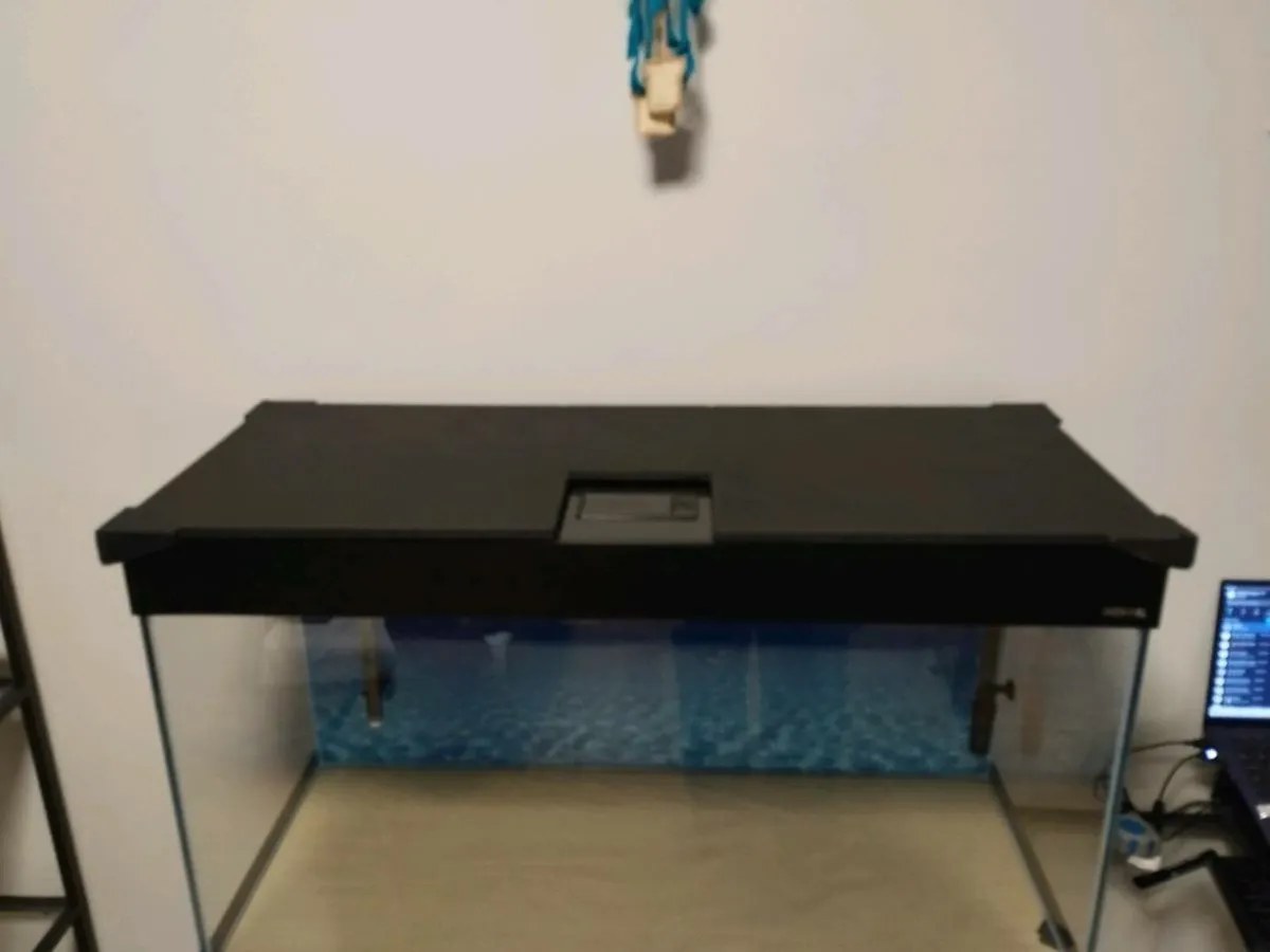 200l Aquarium with cabinet (household breakup) - Image 4