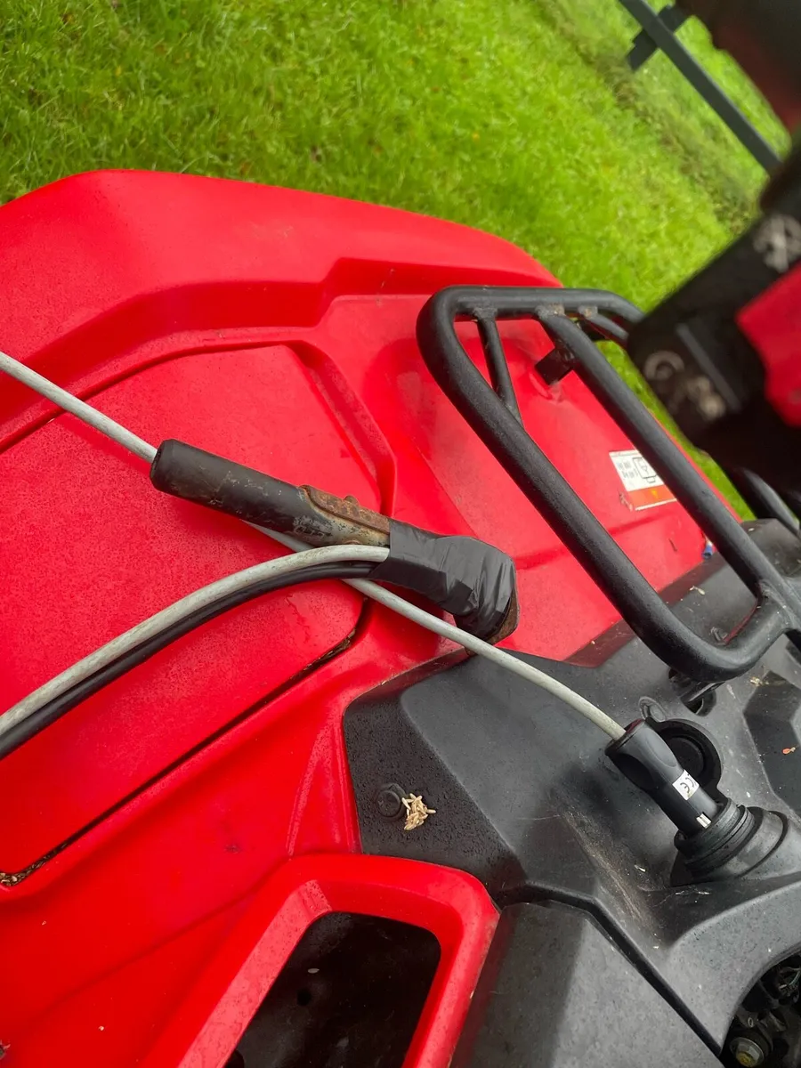 Connowipe rush lick - Image 4