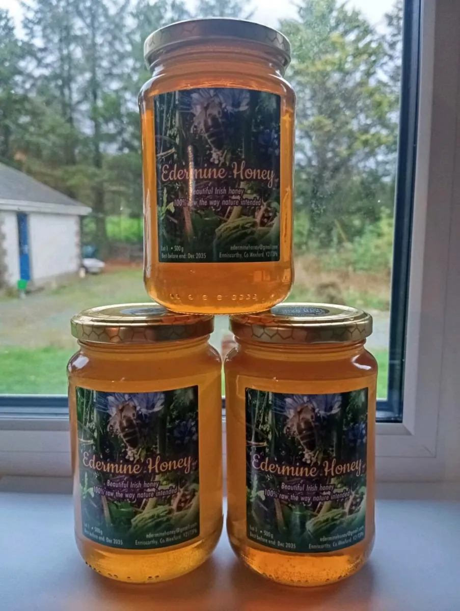 Wexford Honey 100% raw, cold strained. - Image 1