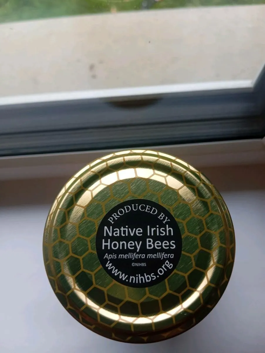 Wexford Honey 100% raw, cold strained. - Image 2