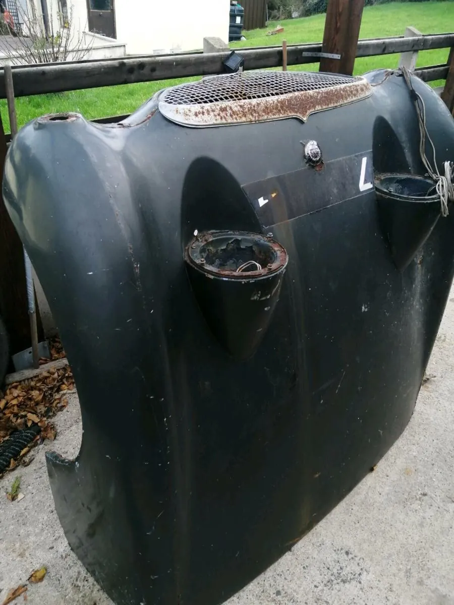 Frogeye sprite bonnet and wings, complete front - Image 2