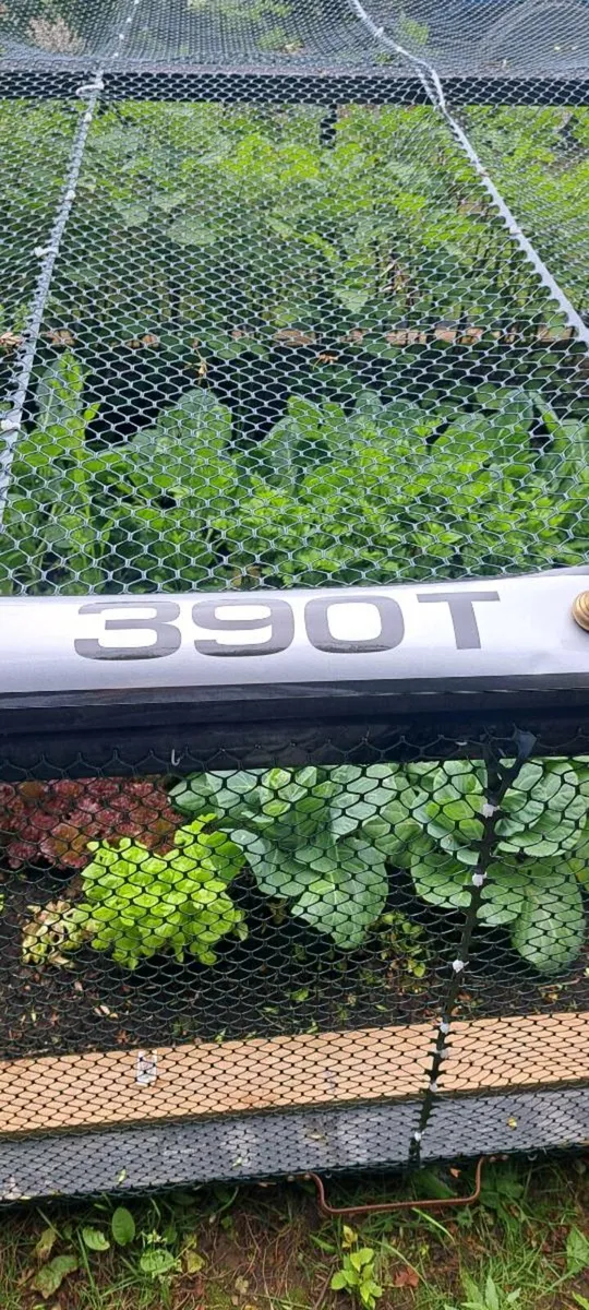 All massey  Ferguson  decal s  €43 each - Image 1