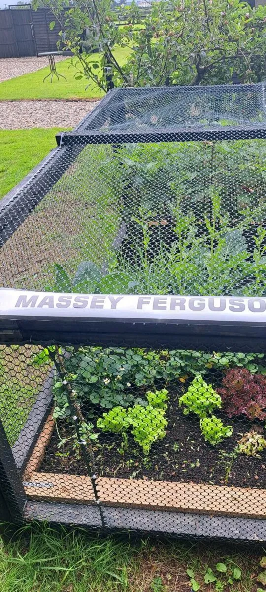 All massey  Ferguson  decal s  €43 each - Image 2