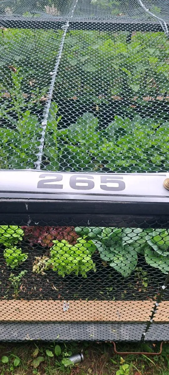 All massey  Ferguson  decal s  €43 each - Image 4