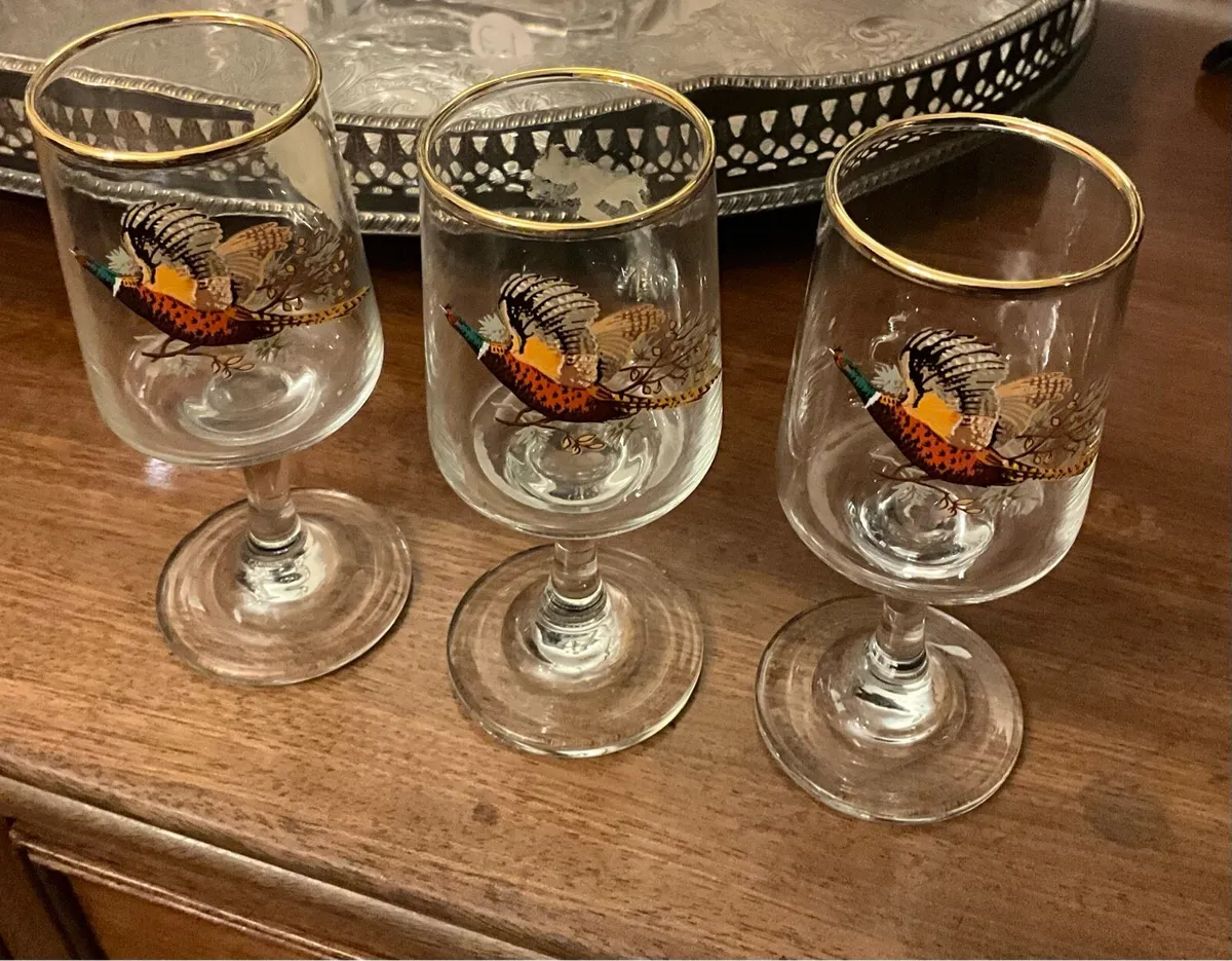 Vintage Pheasant Glasses - Image 1