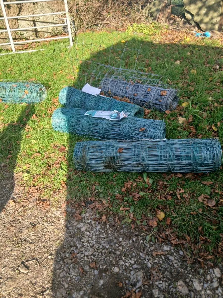 Sheep Wire - Image 2