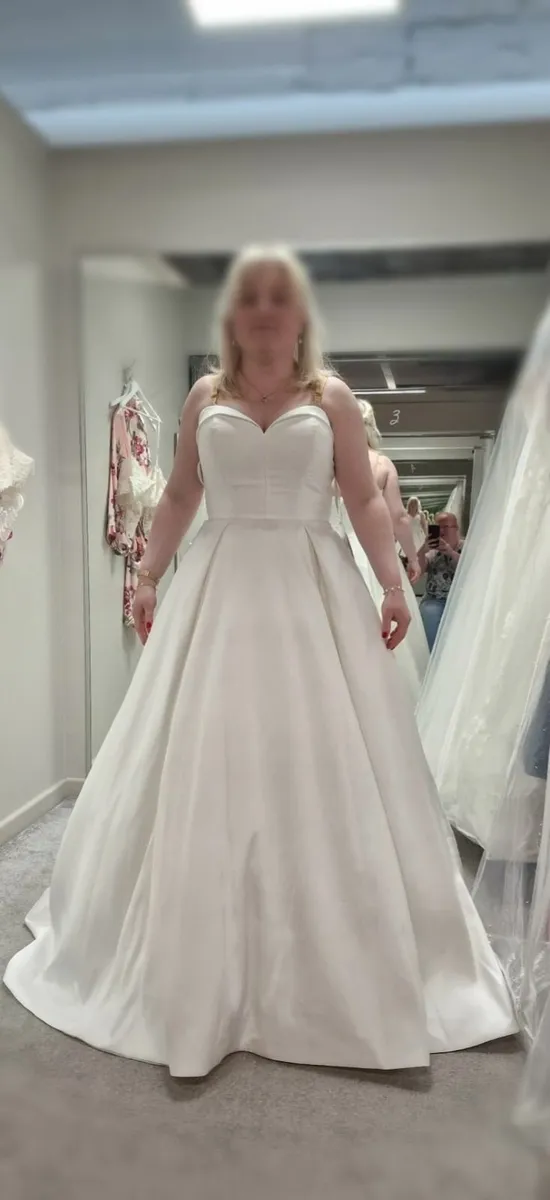 Brand New Anna Sorrano Wedding Dress - UK 16 Ecru - Image 1