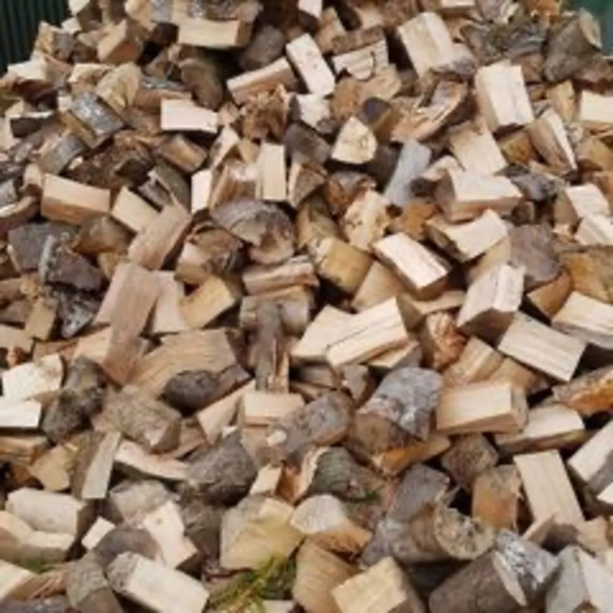 Firewood - Image 2