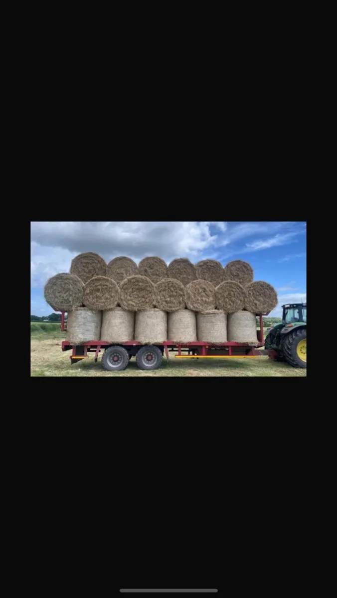 Hay, silage and straw - Image 1
