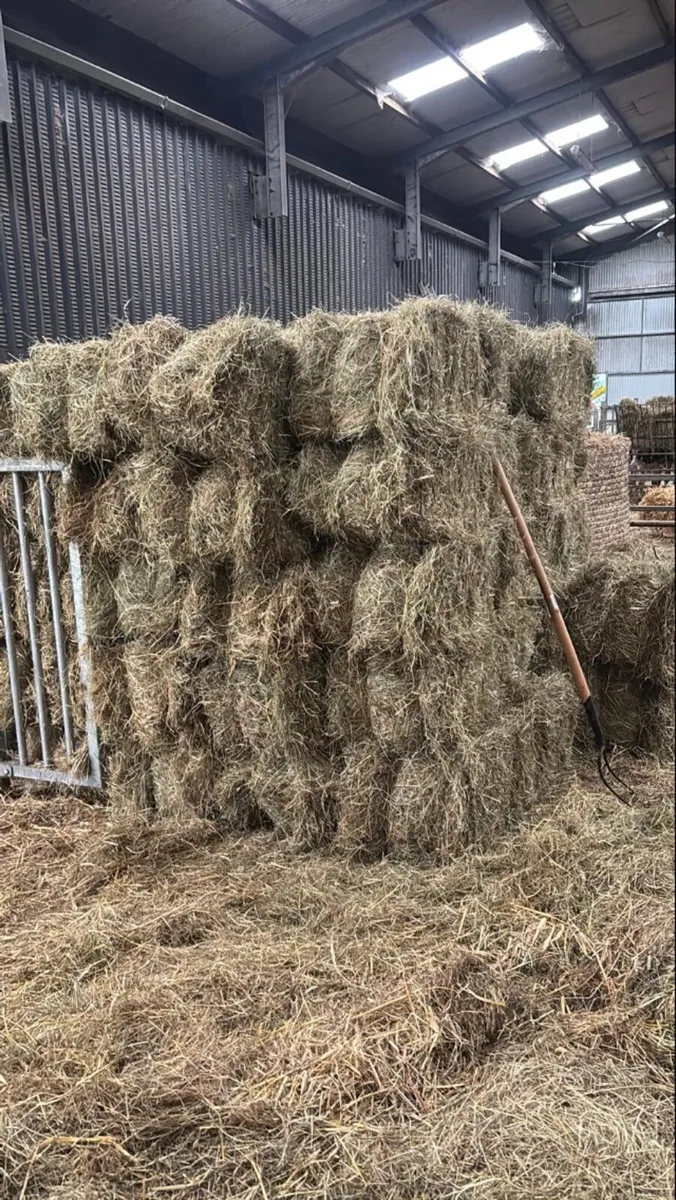 Hay, silage and straw - Image 2