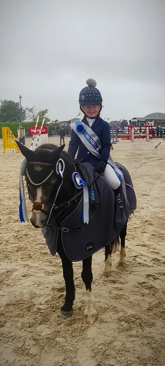 Pony for Sale - Image 1