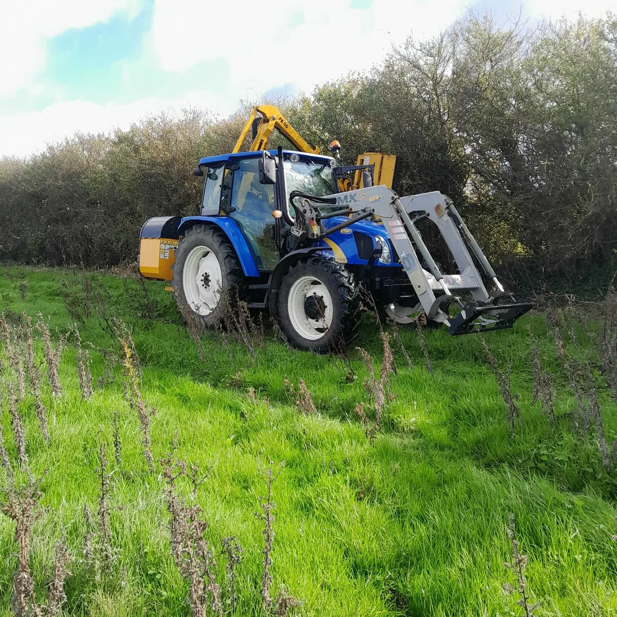 Hedgecutting Services - Image 2