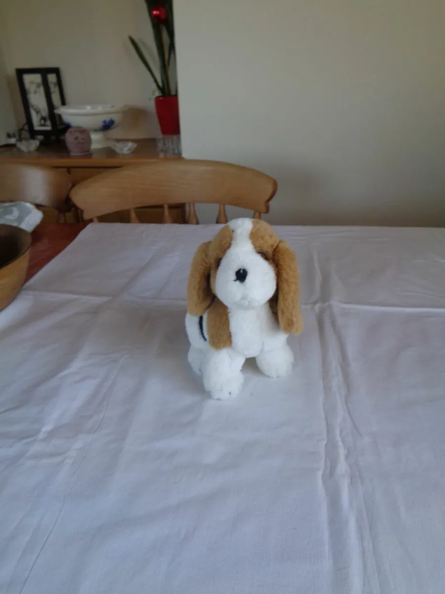 Cuddly Dog for Sale - Image 1