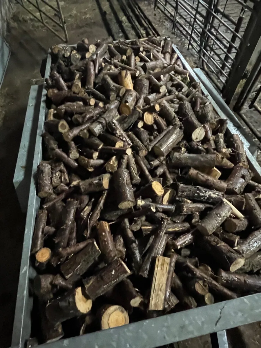 Firewood - Image 2