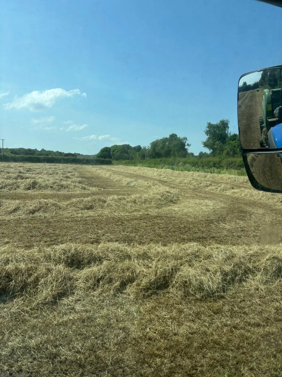 Haylage bales - Image 4