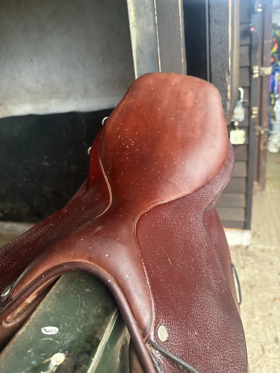 Ideal GP Saddle Wide 17” - Image 3