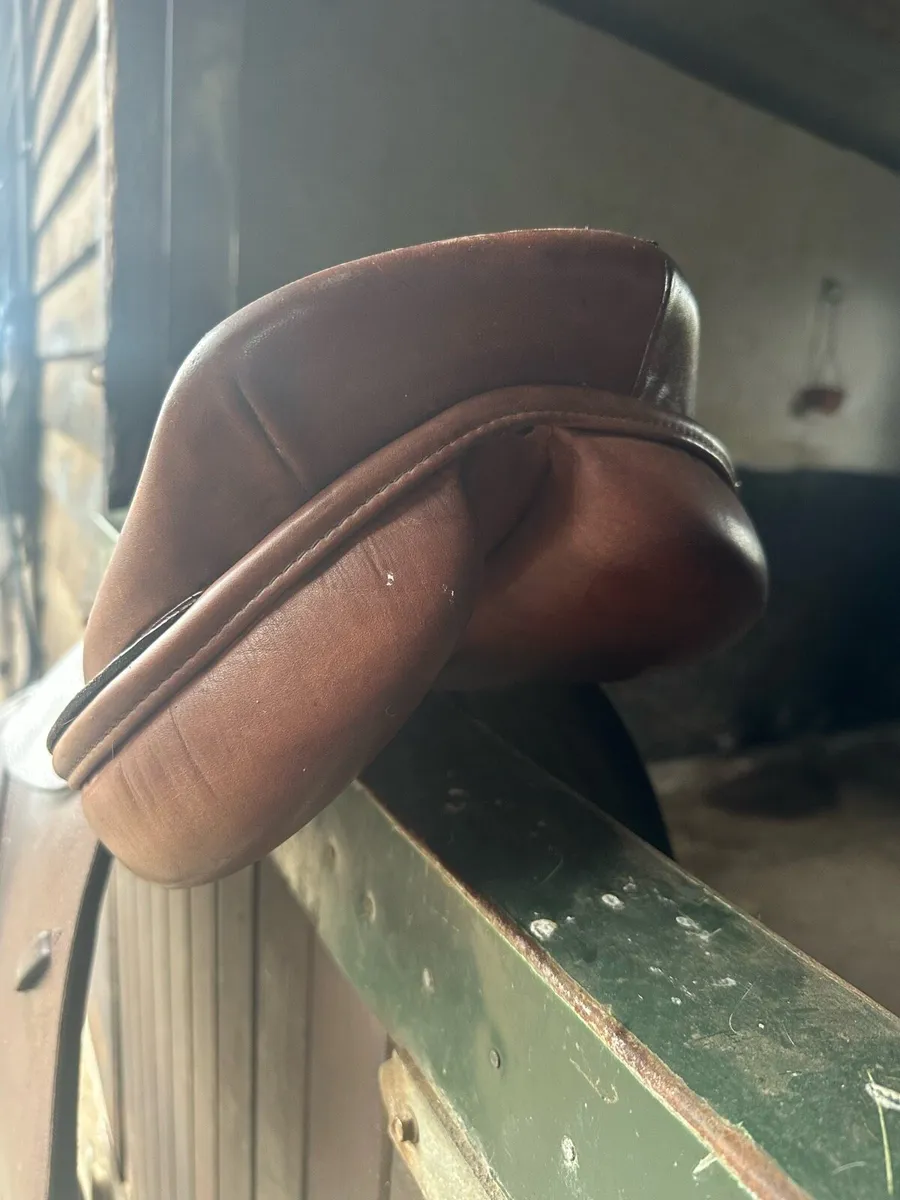 Ideal GP Saddle Wide 17” - Image 4