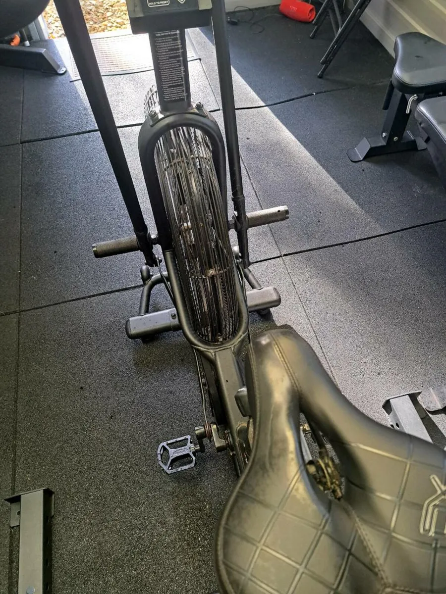 Assault Airbike - Image 2