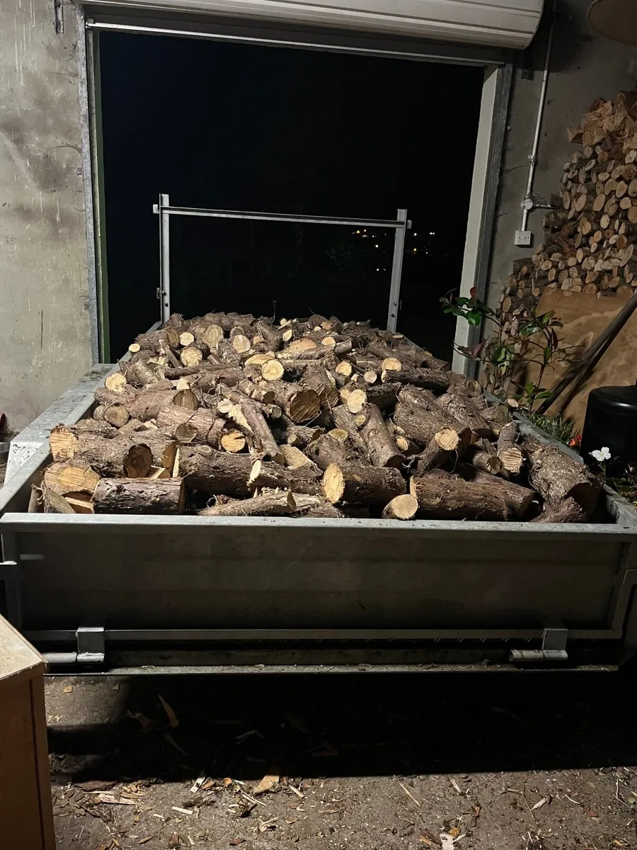 Firewood - Image 1