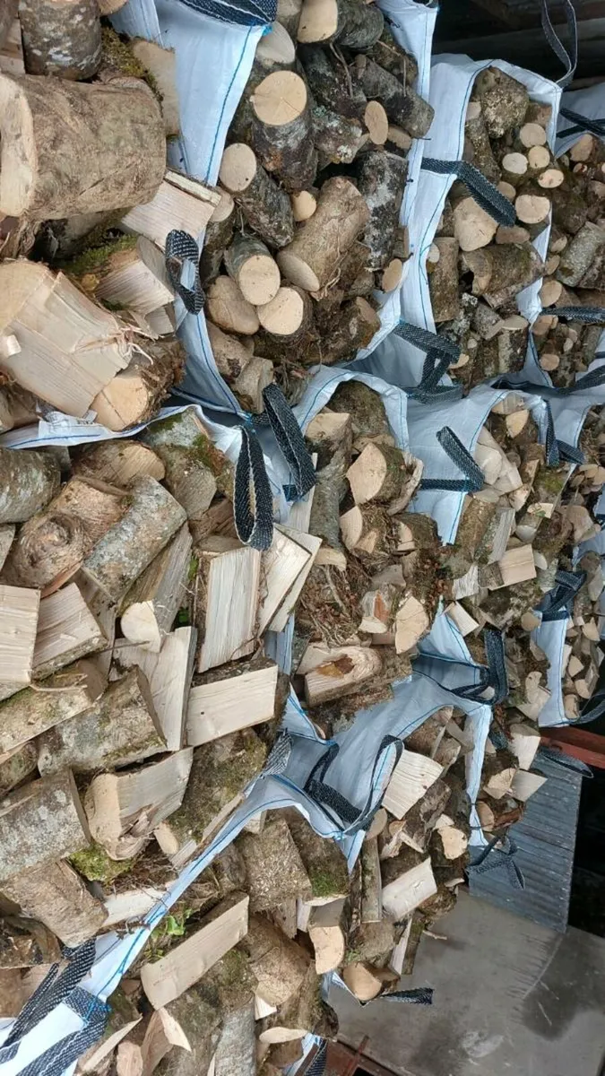 Firewood - Image 2