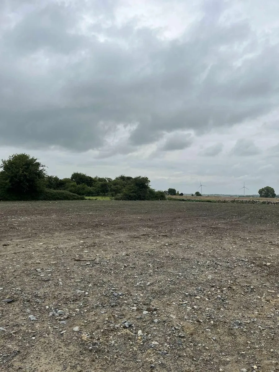 Tree Surgeon / Ground Work - Image 3