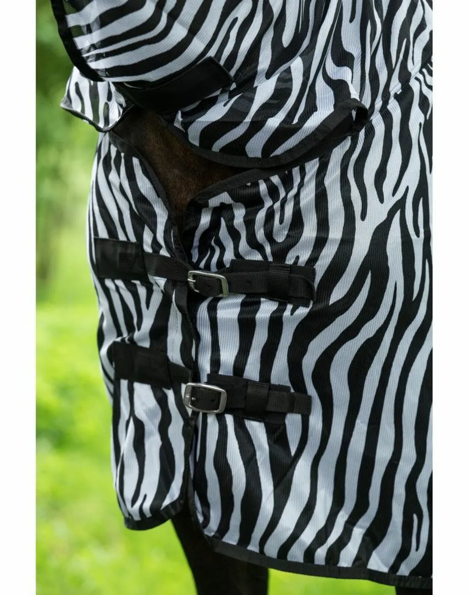 Zebra Fly Rugs- Last few Sizes - Image 2