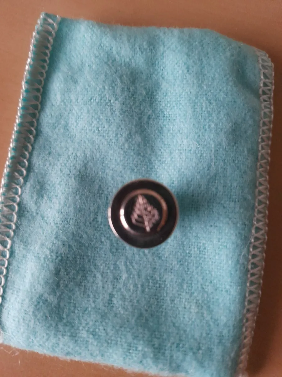 Tiffany sver pin - Image 4