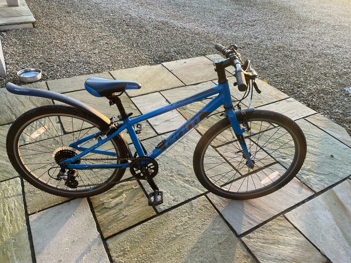 Bike - Image 3