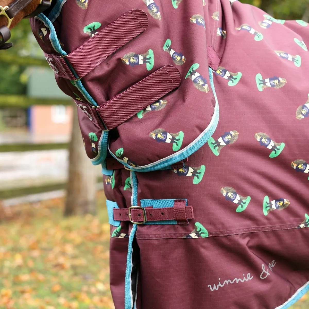 Shetland Pony & Miniature Rug - Image 4