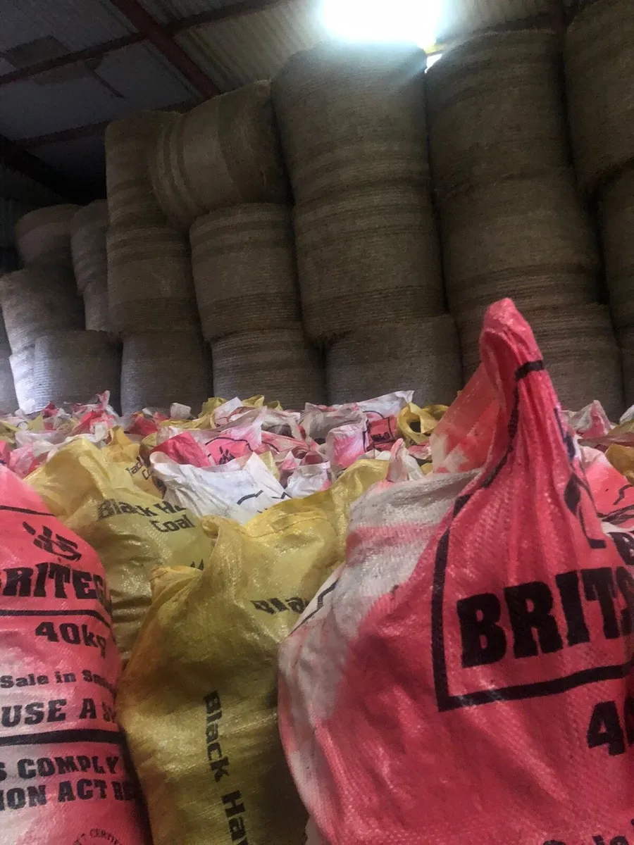 Hay for Sale - Image 2