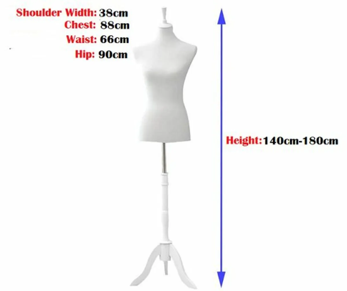 2 x New Womens Tailors Bust Dummy - FREE Delivery - Image 2
