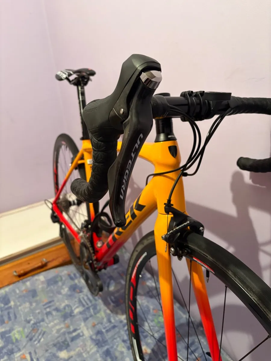 2025 Trek Emonda ALR - Image 2