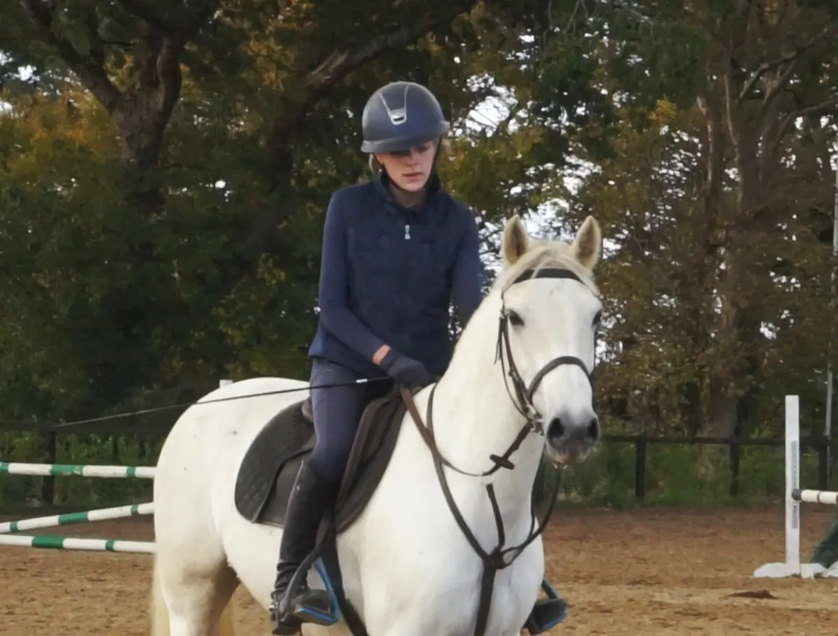 🌟 144cm All-Rounder Connemara 🌟 - Image 1