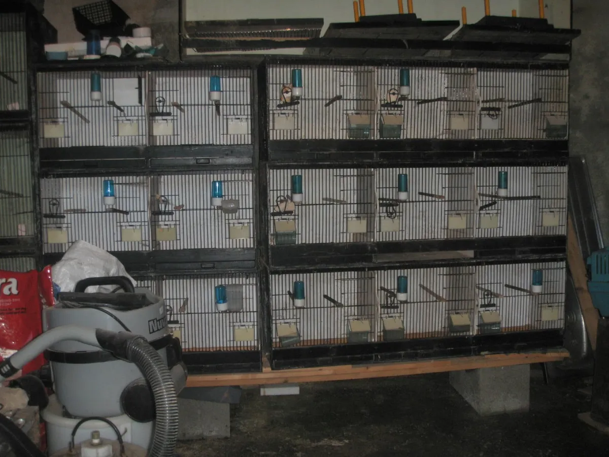 Canary Breeder Cages