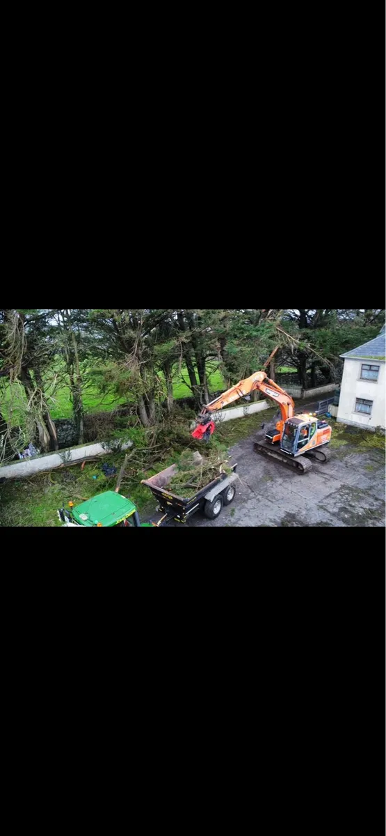 Tree care - Image 4