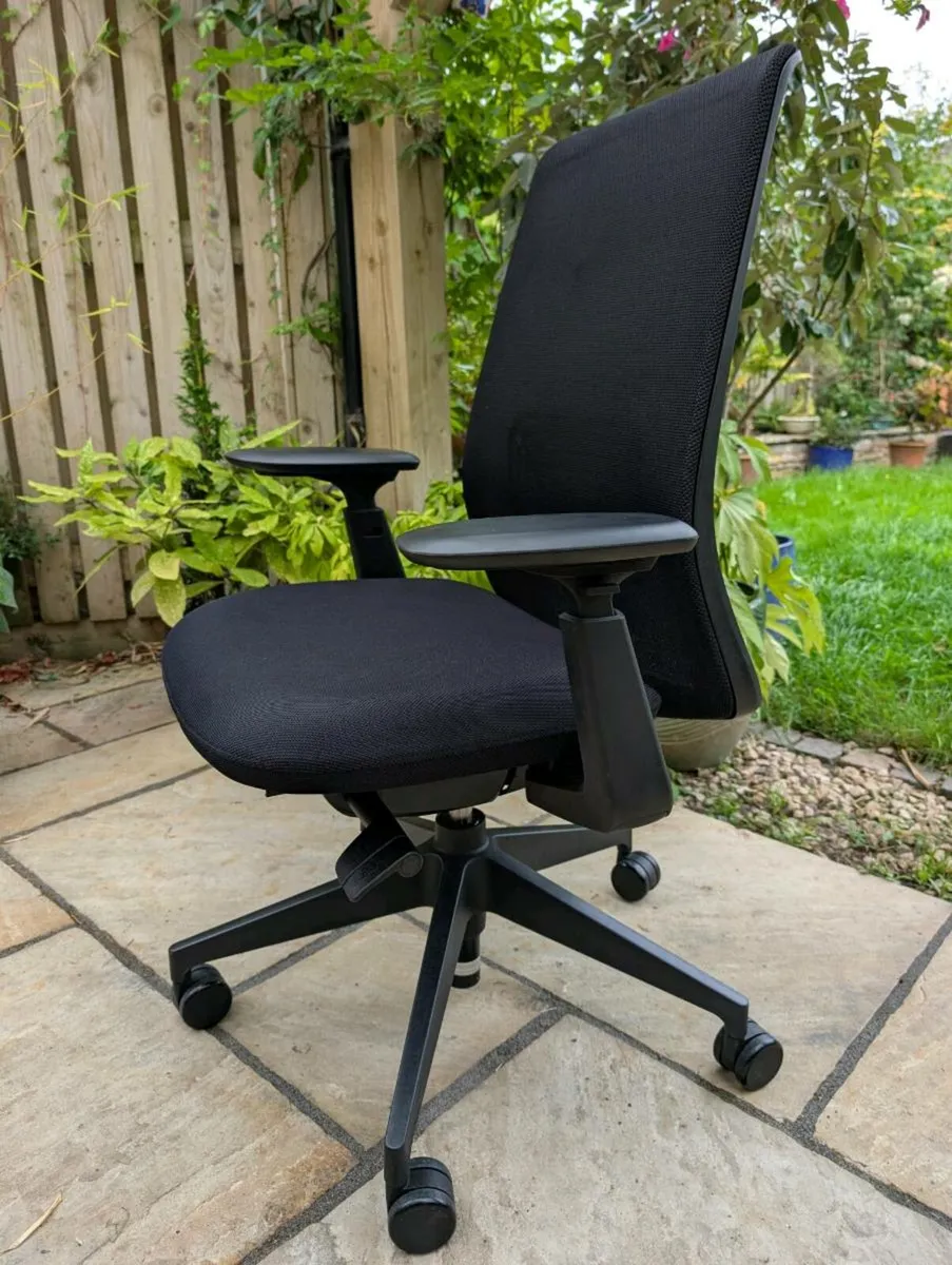 Ergonomic office chair - Image 1