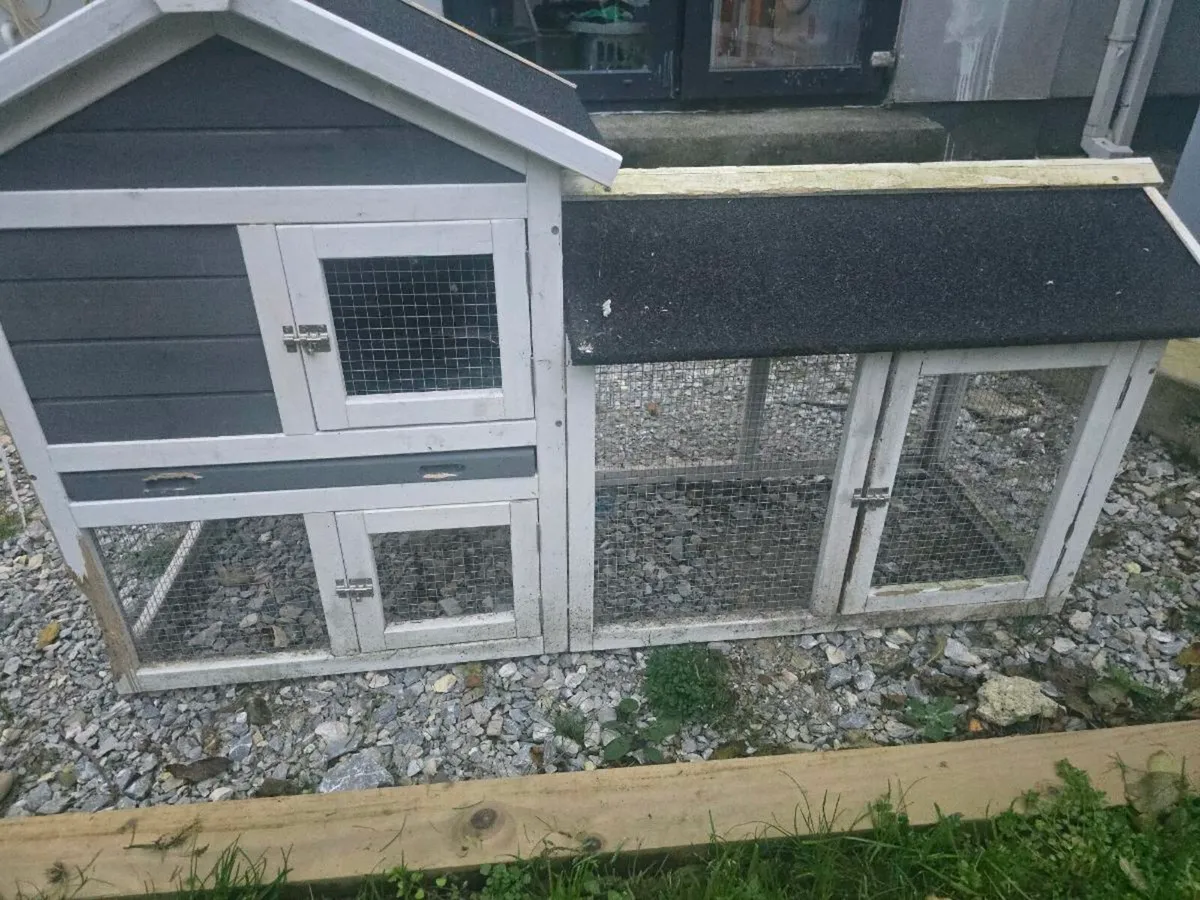 Rabbit House - Image 2