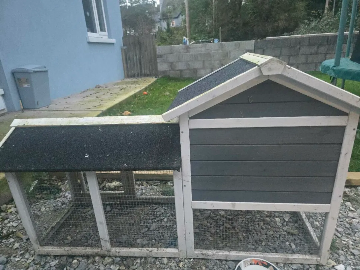 Rabbit House - Image 3