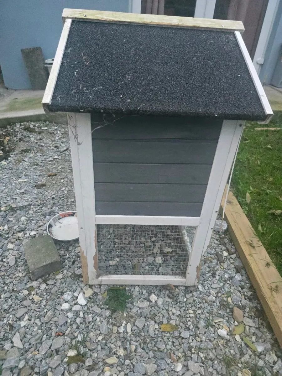 Rabbit House - Image 4