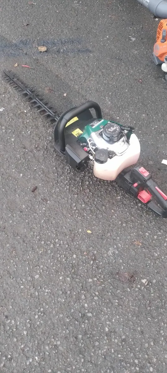 2 hedge strummers running very well priced - Image 2