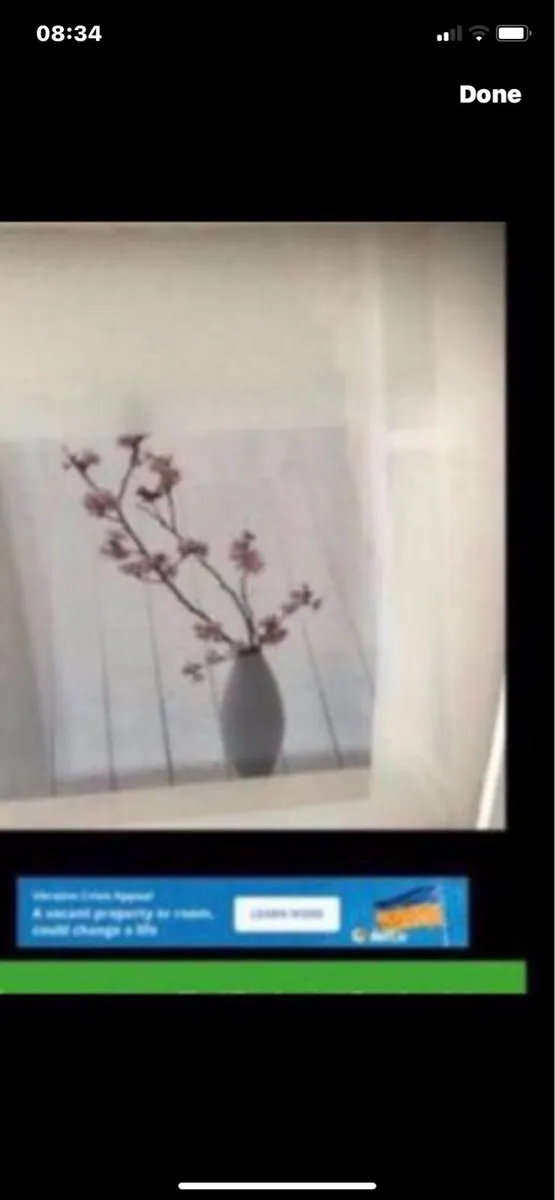 Framed Floral Prints - Image 3