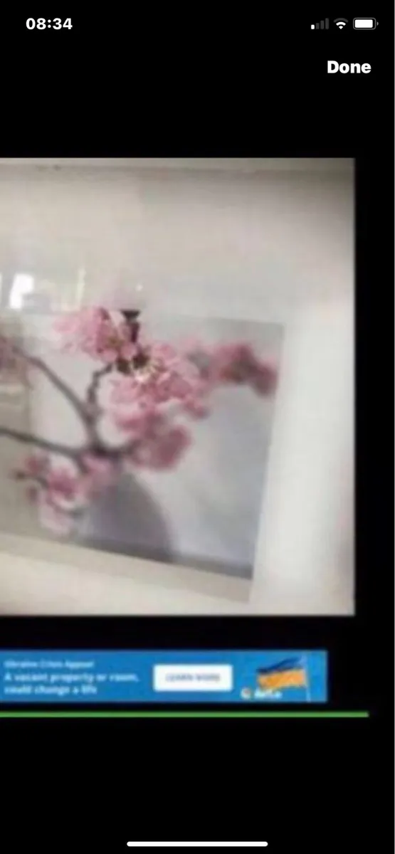 Framed Floral Prints - Image 4