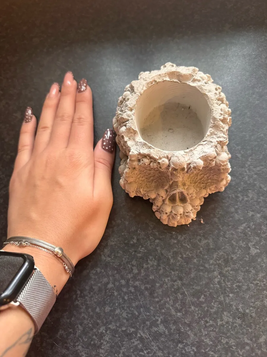 2 for 10€ skull - Image 2