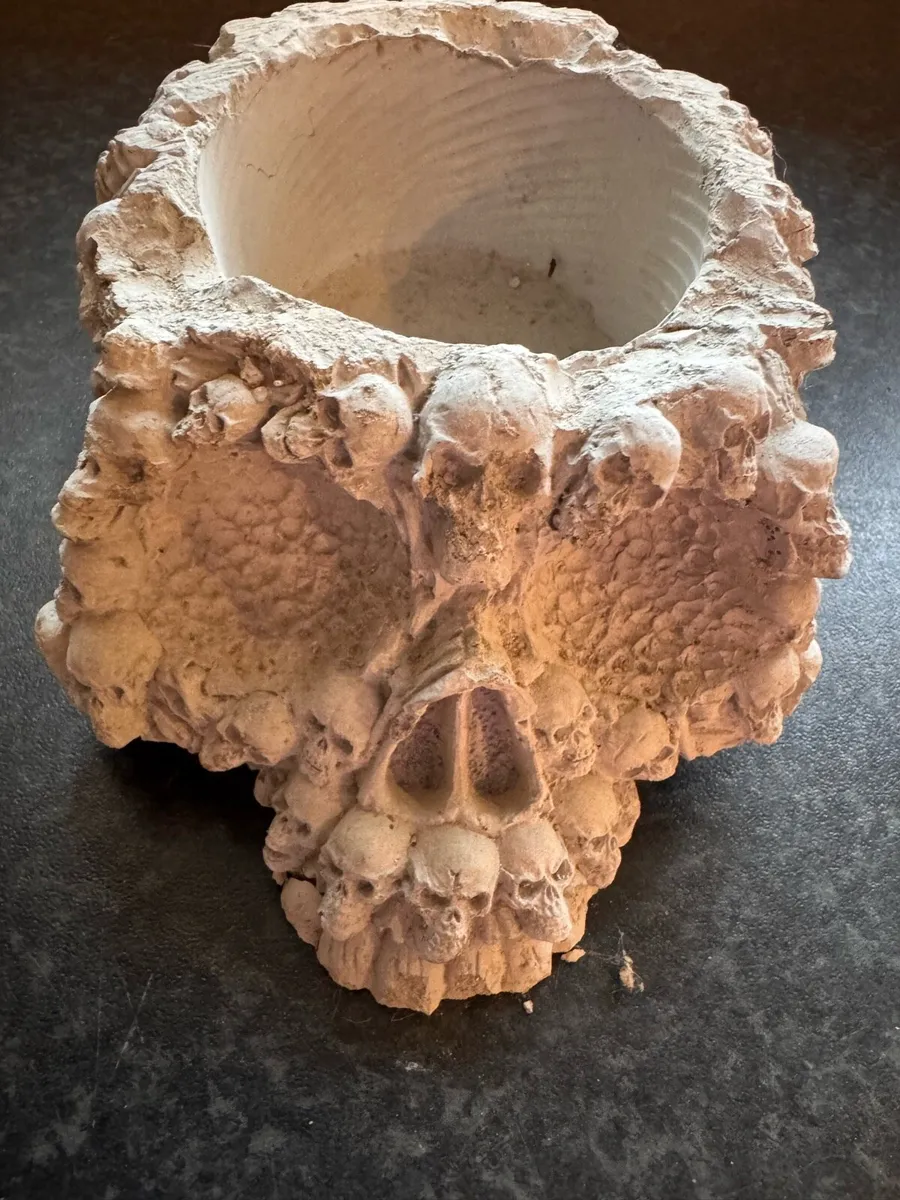 2 for 10€ skull - Image 3