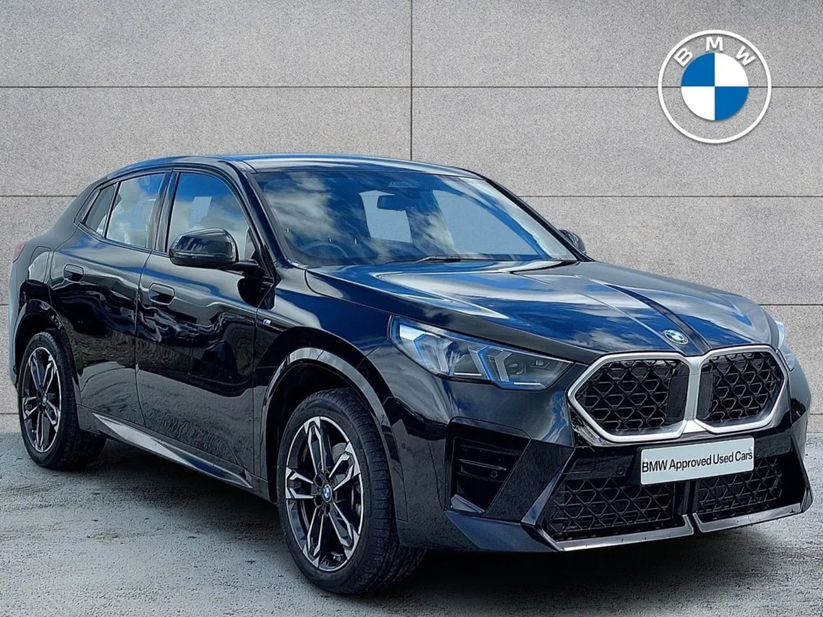 BMW X2 Sdrive20i M Sport Auto - Image 1