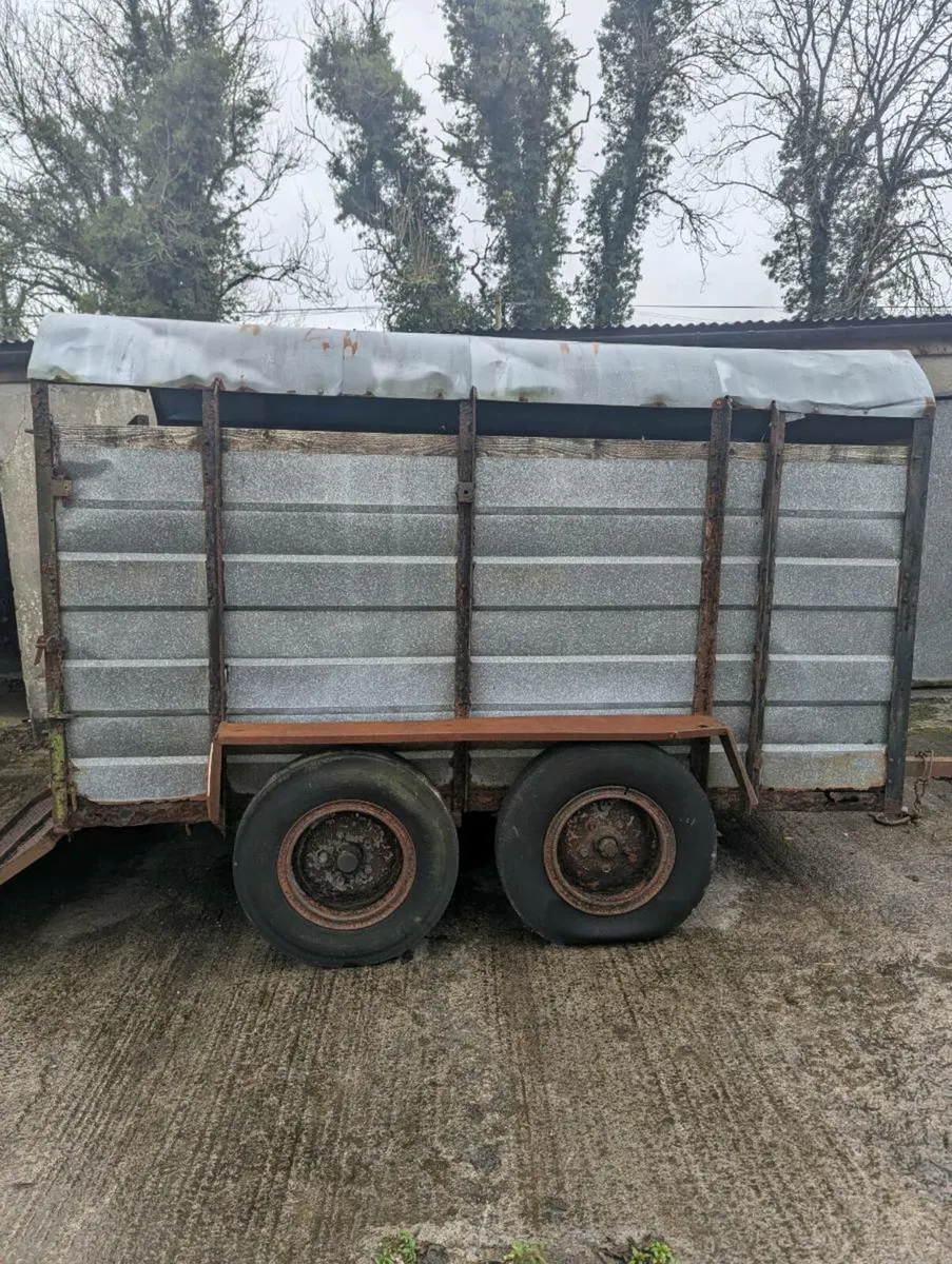 Cattle Trailor - Image 2