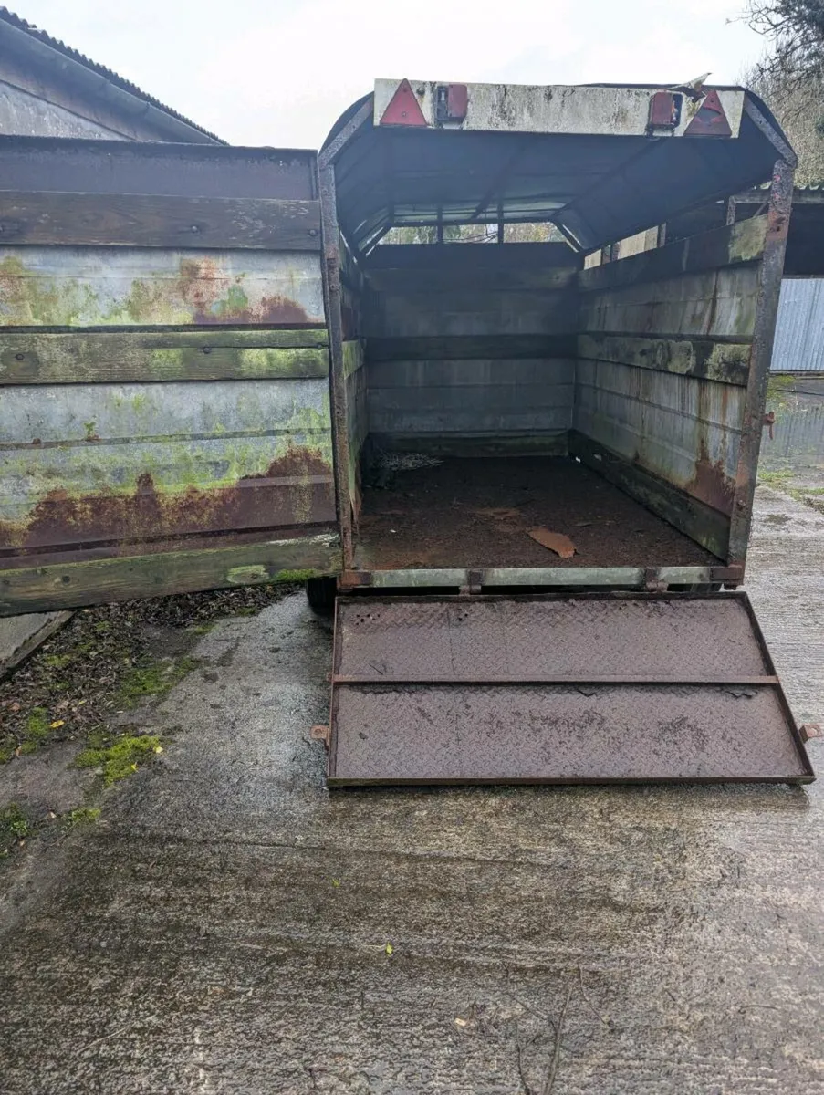 Cattle Trailor - Image 3