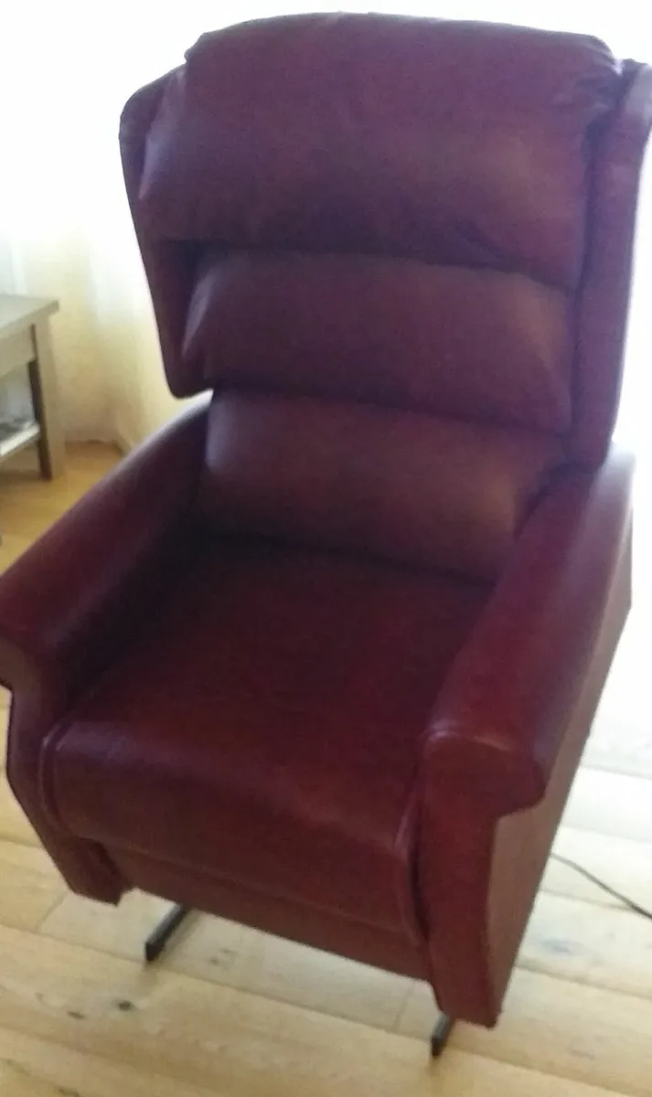 Rise, stand and recline chair - Image 1