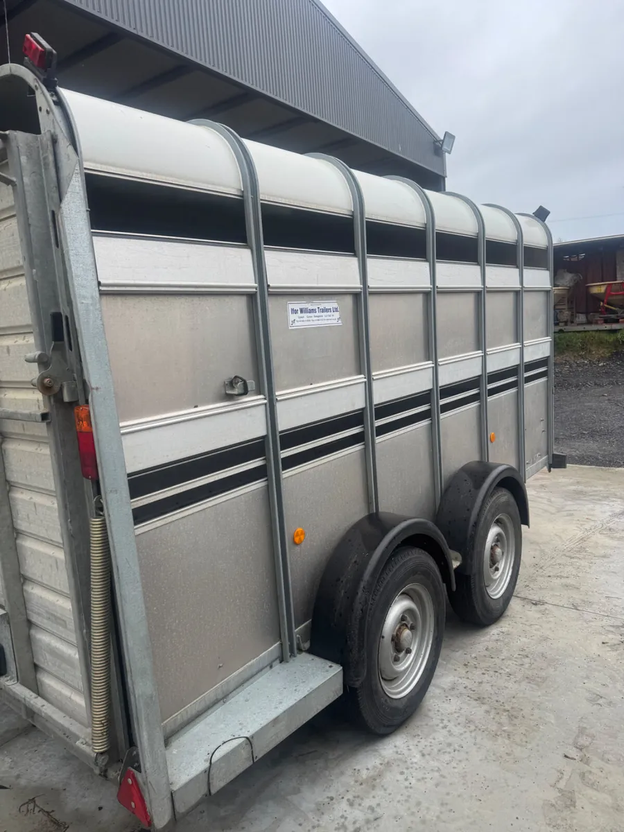 Cattle trailer - Image 3