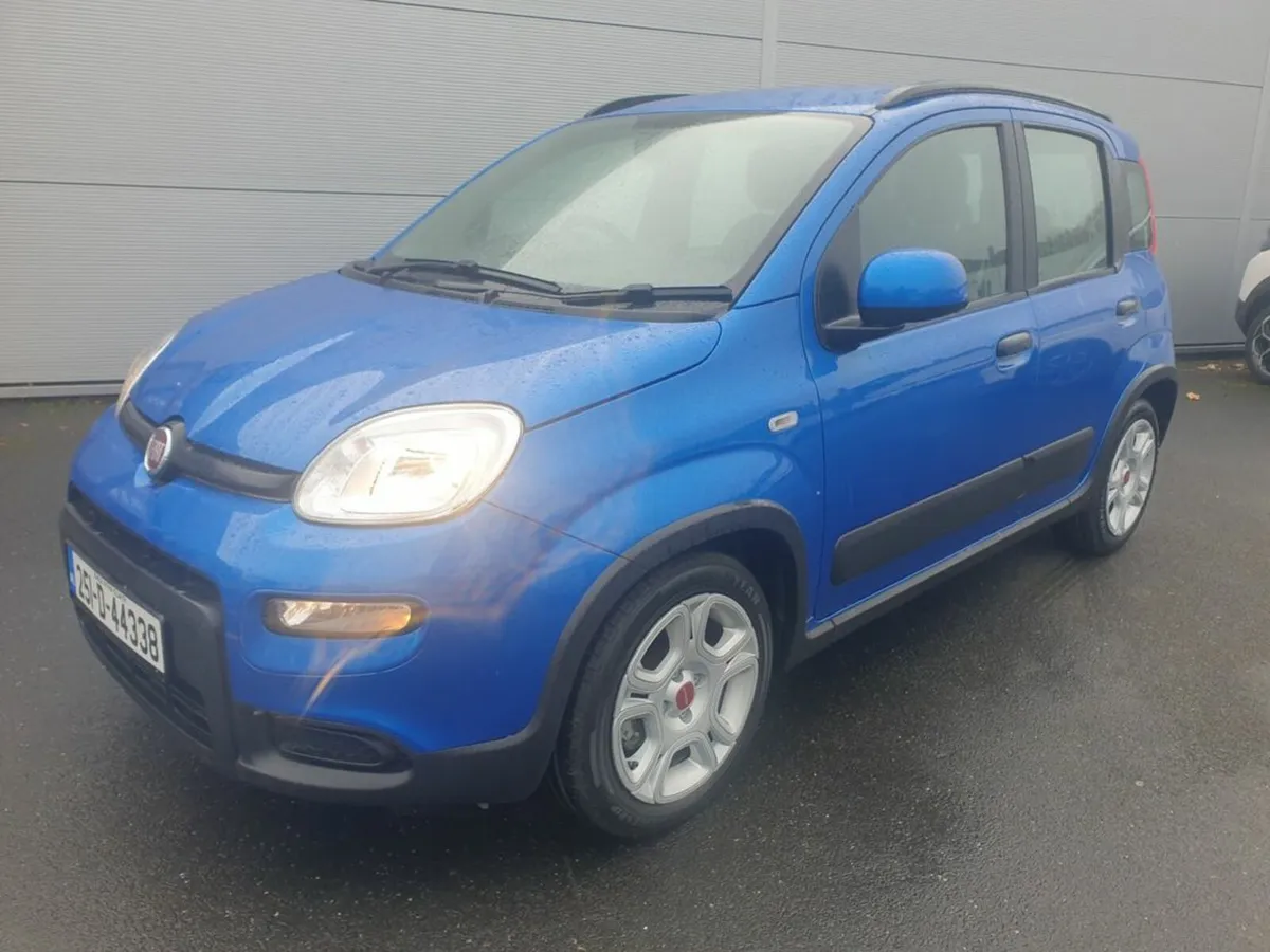 Fiat Panda 1.0 Petrol Mild Hybrid - Image 3